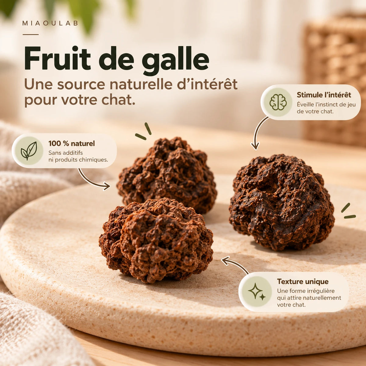 Trois fruits de galle posés sur un plateau en bois, à la texture irrégulière