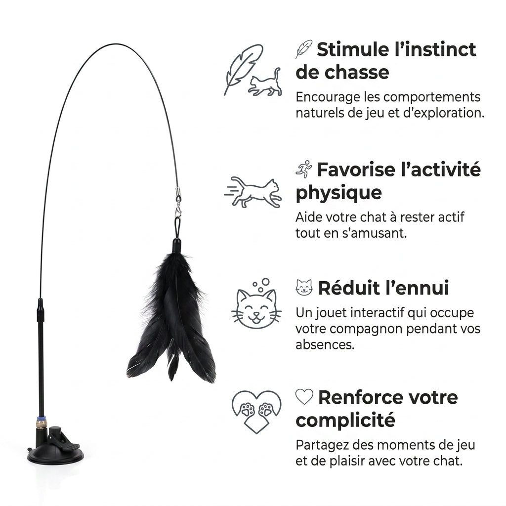 Jouet à plume sur sa ventouse et quatre arguments illustrés : instinct de chasse, activité physique, ennui et complicité
