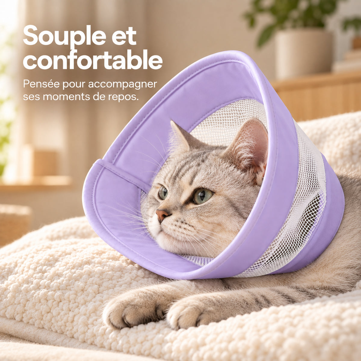 Chat allongé sur un coussin beige, portant la collerette respirante violette