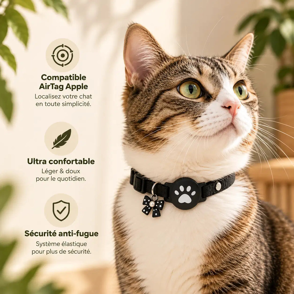 Collier AirTag pour Chaton et Petit Chat