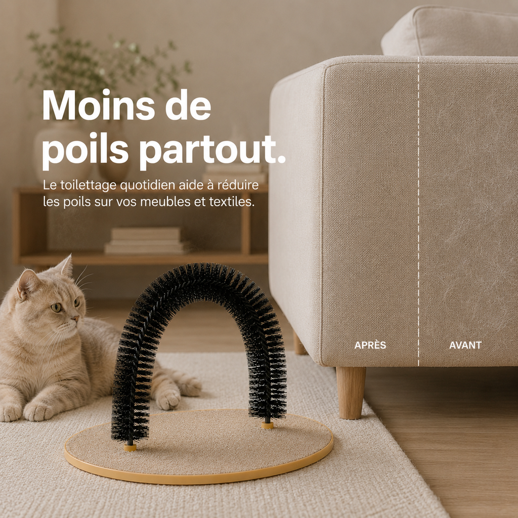 Arche de Toilettage et Massage pour Chat