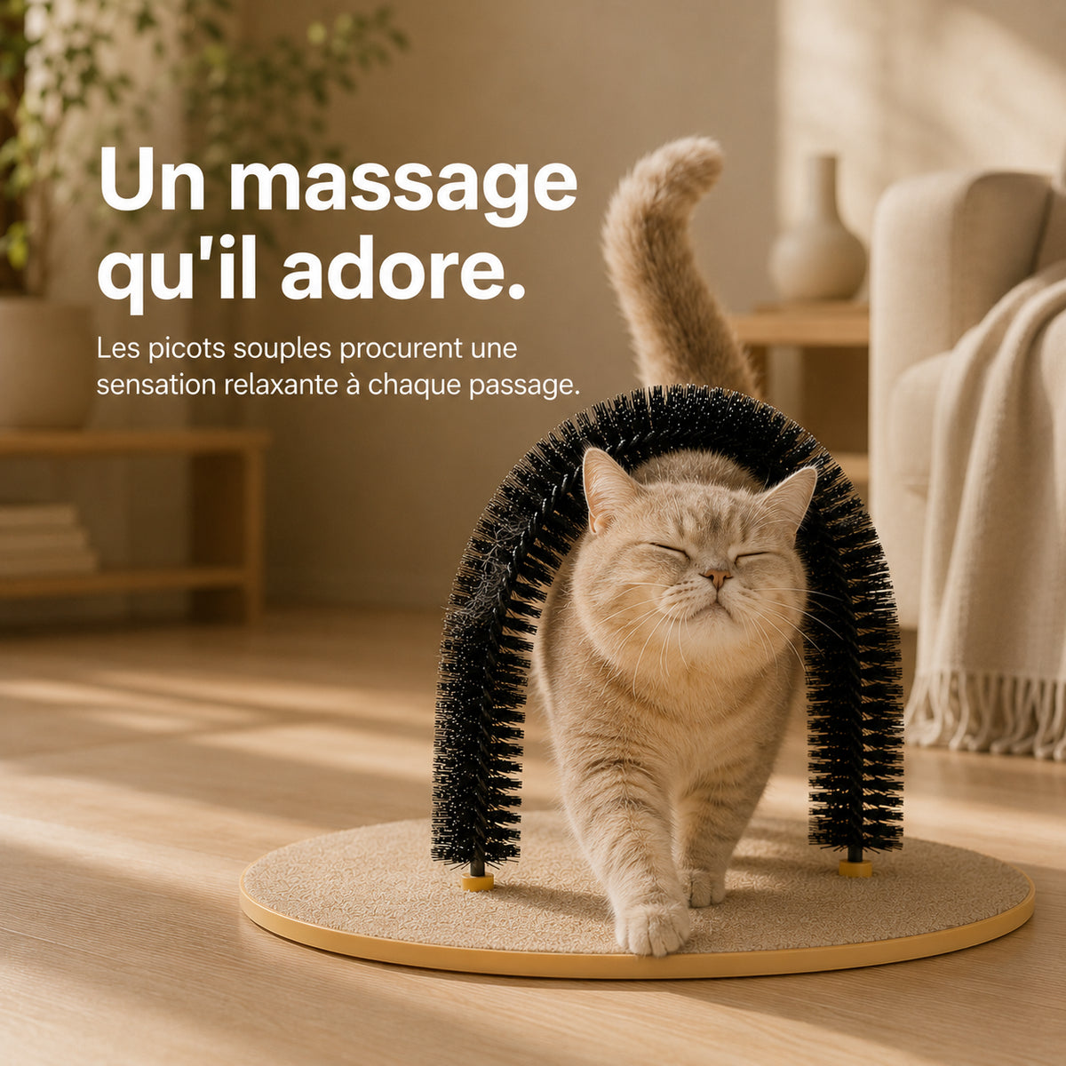 Chat blanc passant sous l'arche de toilettage, les picots en contact avec son dos