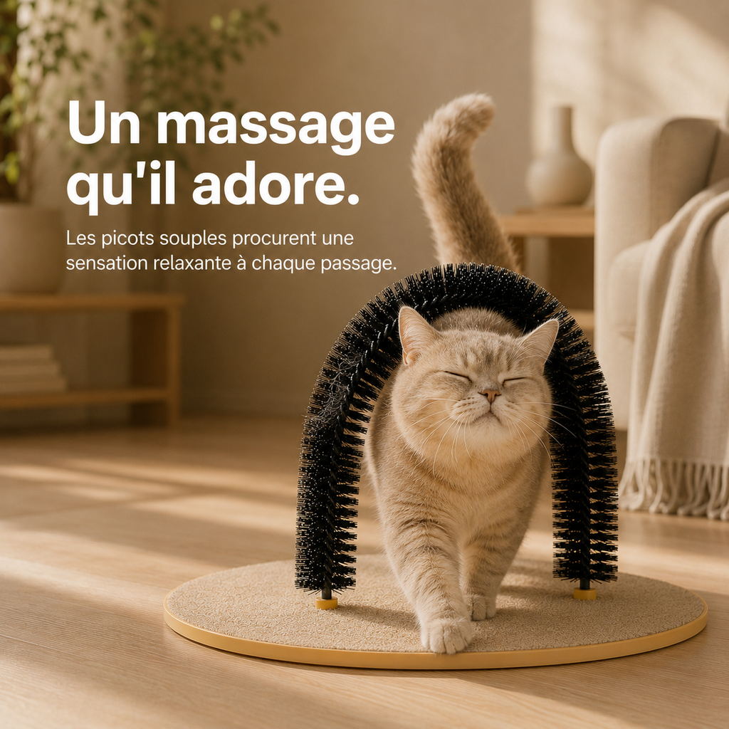 Arche de Toilettage et Massage pour Chat