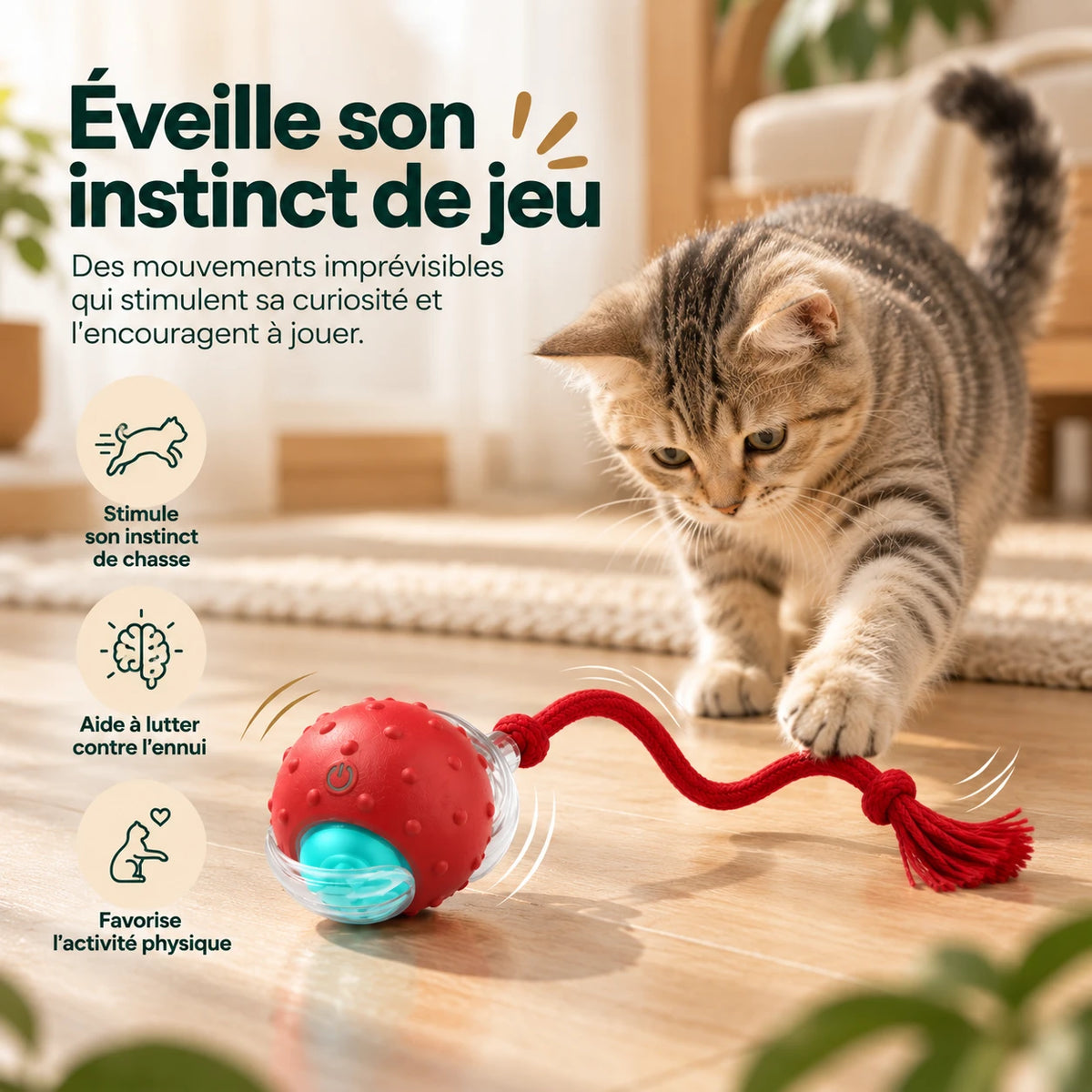 Infographie : la balle en mouvement et un chat qui la poursuit, instinct de chasse et activité physique