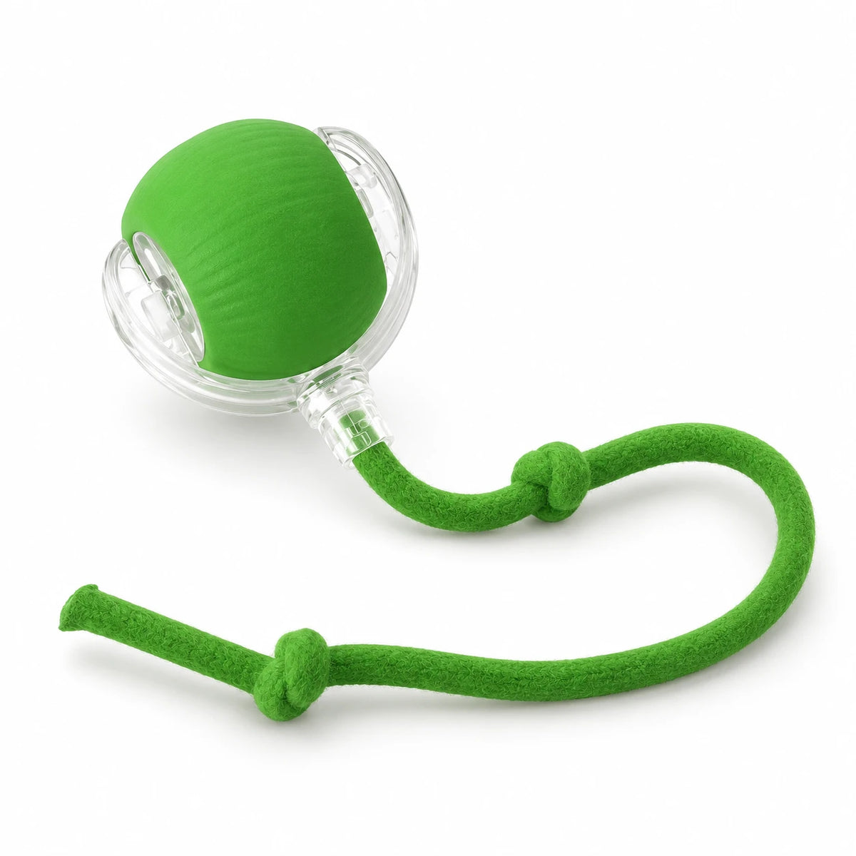 Balle interactive verte pour chat, surface lisse et corde à nœuds