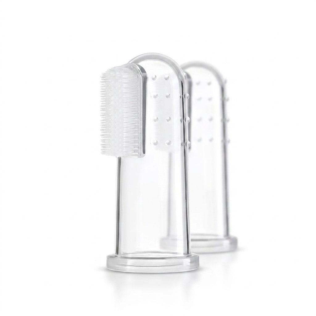 Doigtiers dentaires MiaouLab en silicone transparent, sur leur support