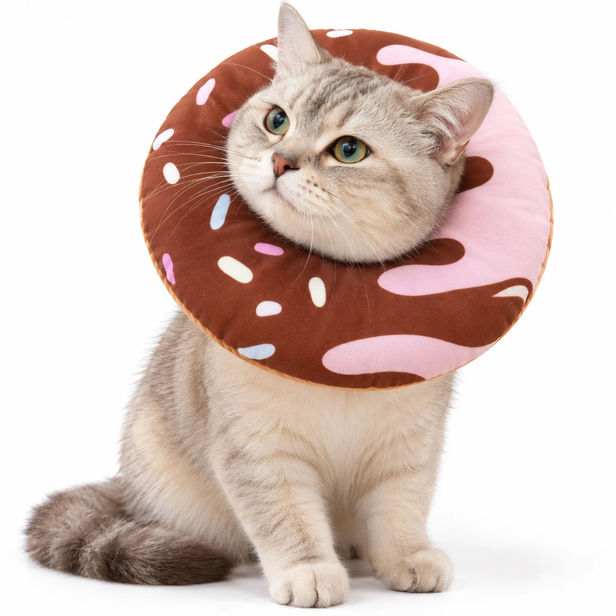 Chat tigré beige portant une collerette donut chocolat avec coulure rose