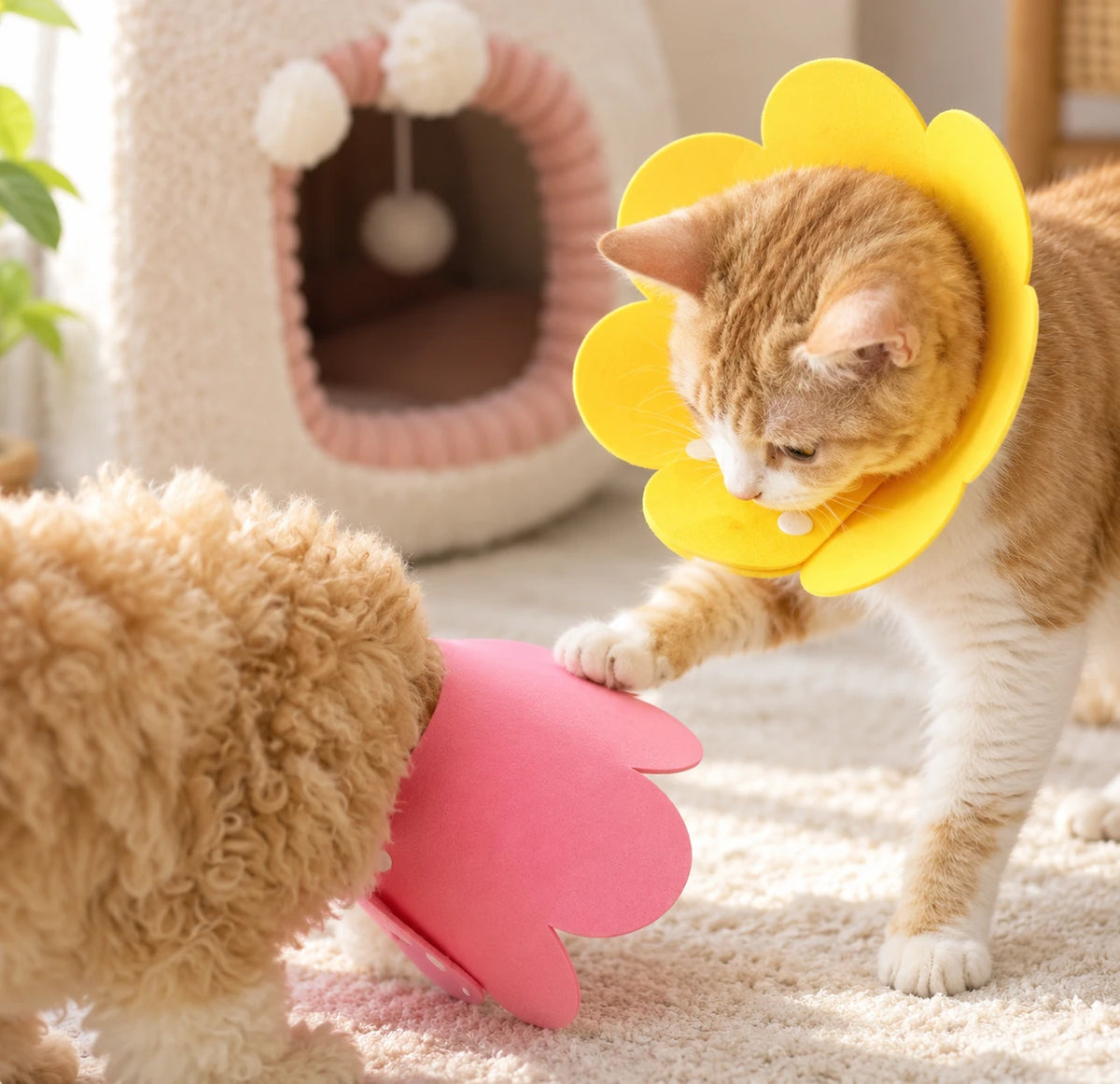 Chat roux portant la collerette fleur jaune dans un salon clair, à côté d’un chien