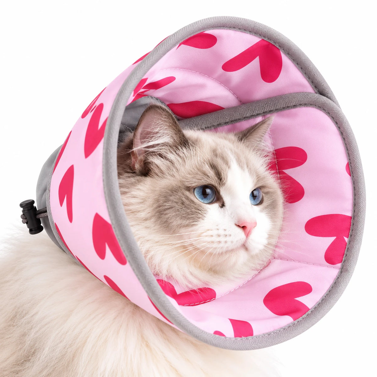Chat portant une collerette en tissu rose à cœurs fuchsia, avec son cordon au col