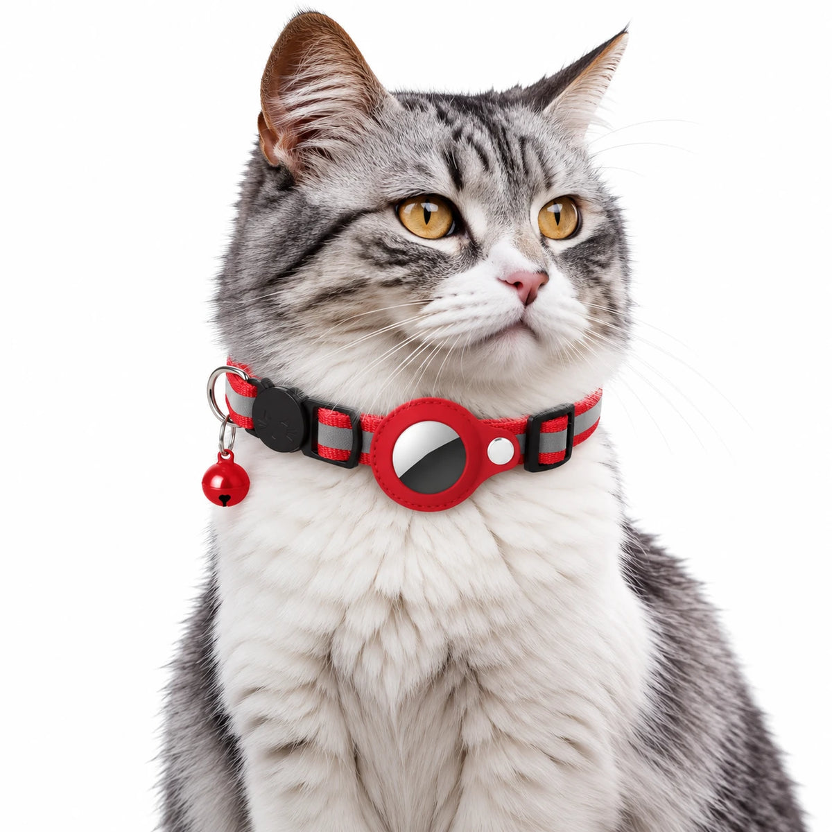 Le même collier en rouge, clochette assortie à la sangle