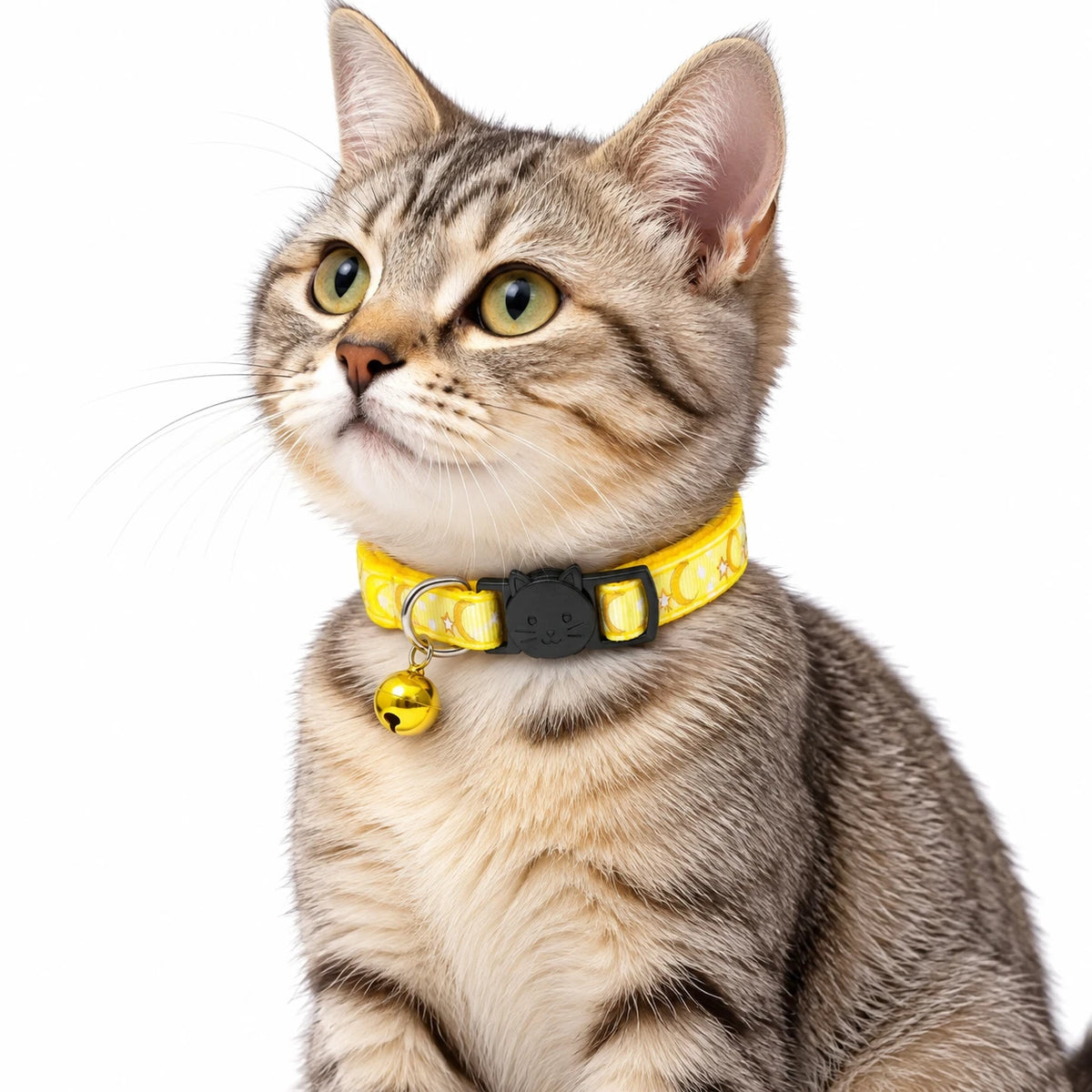 Chat tigré portant le collier anti-étranglement jaune à motifs lune et étoiles, avec son grelot doré