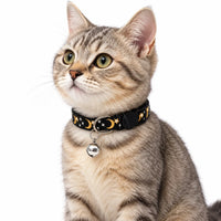 Chat tigré portant le collier anti-étranglement noir à motifs lune et étoiles, avec son grelot argenté