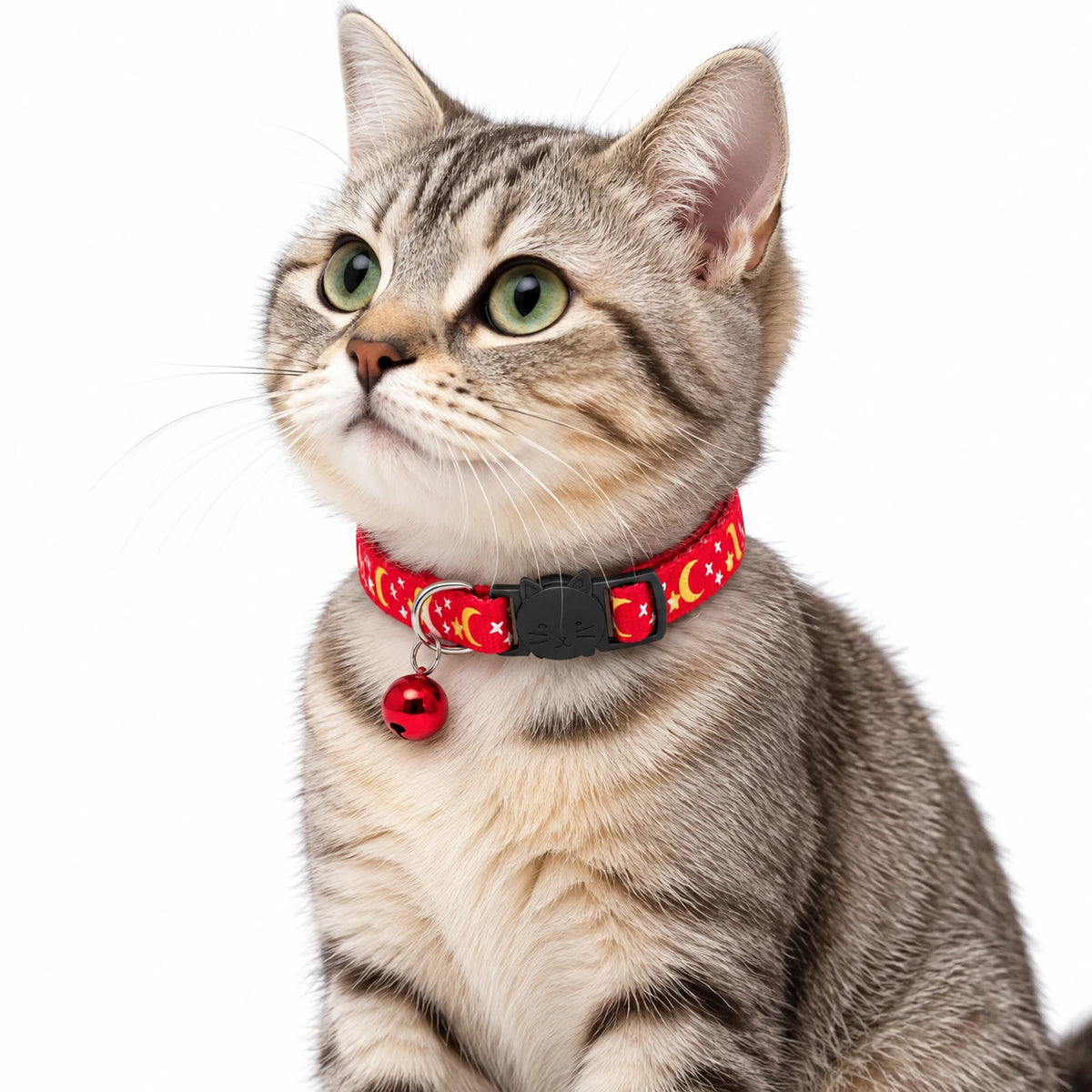 Chat tigré portant le collier anti-étranglement rouge à motifs lune et étoiles, avec son grelot rouge