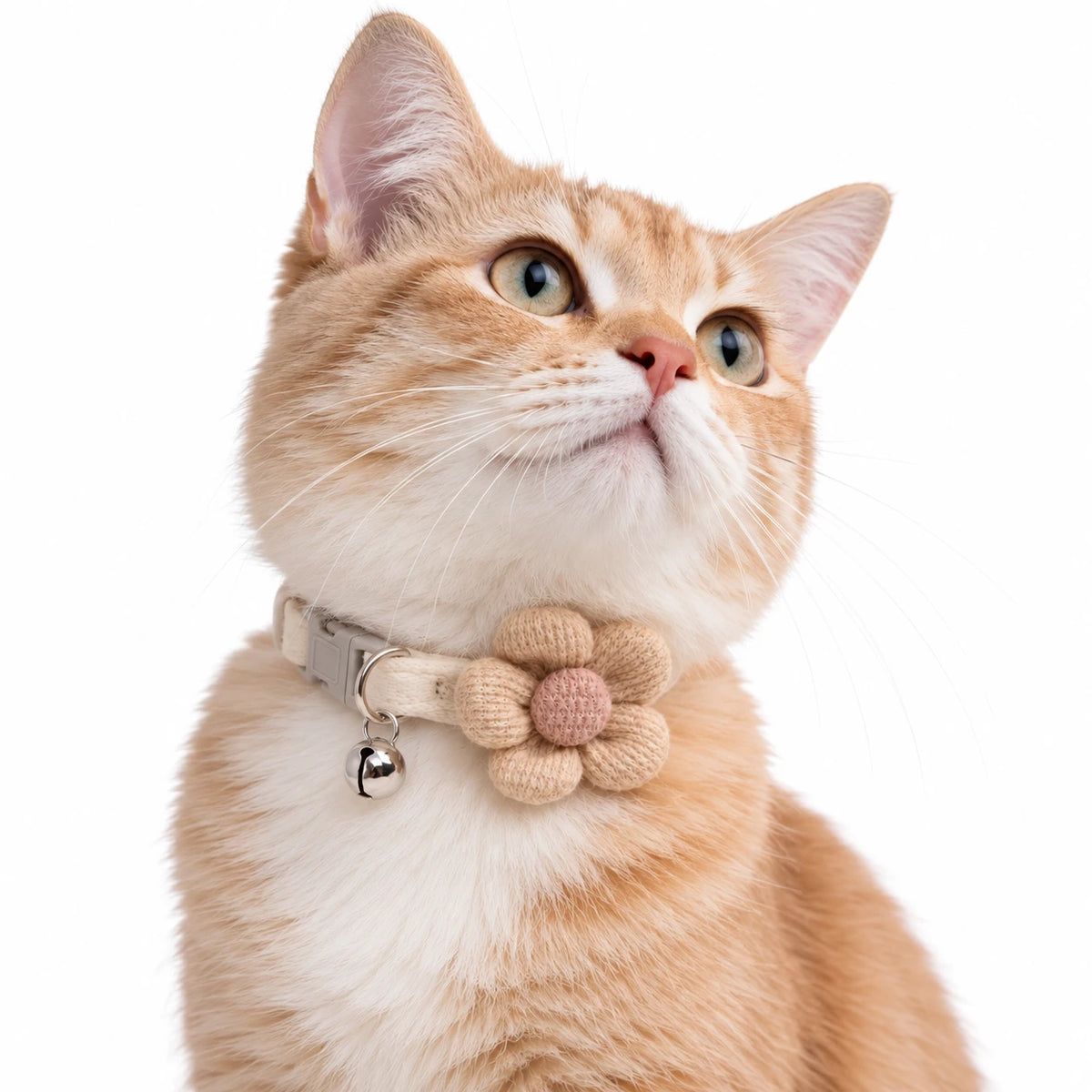 Chat roux portant le collier beige à grande fleur en maille et son grelot argenté