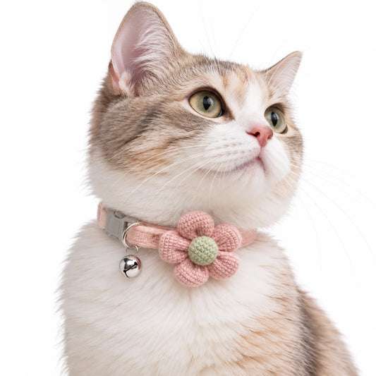 Chat roux et blanc portant le collier rose à grande fleur en maille et son grelot argenté
