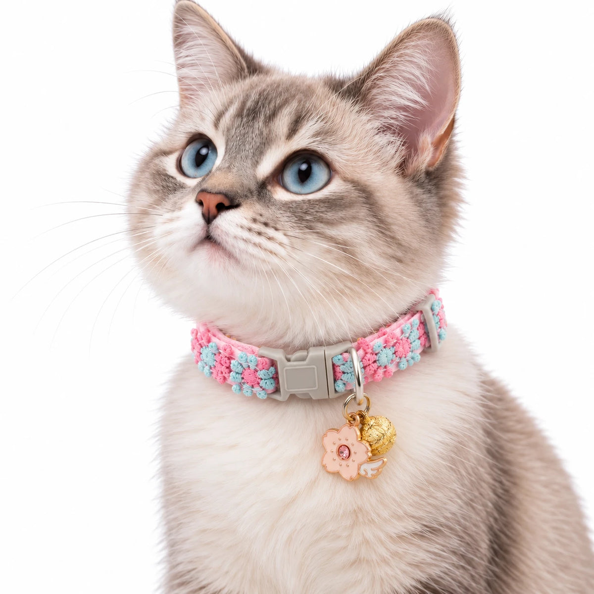 Chat aux yeux bleus portant le collier à fleurs tissées rose et bleu, avec son pendentif fleur et son grelot doré
