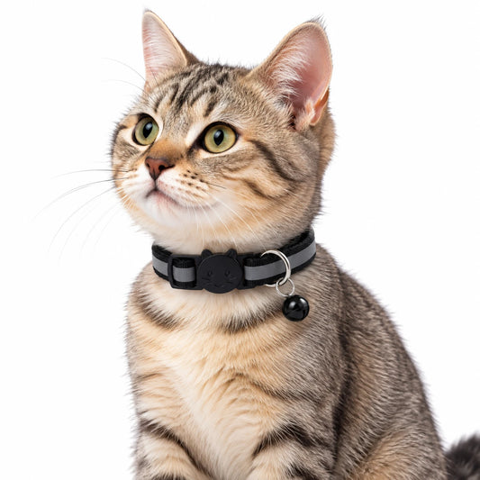 Collier réfléchissant pour chat en noir, porté par un chat tigré, grelot noir assorti