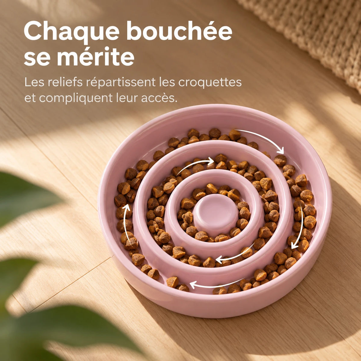 Vue plongeante des croquettes réparties entre les trois anneaux de la gamelle