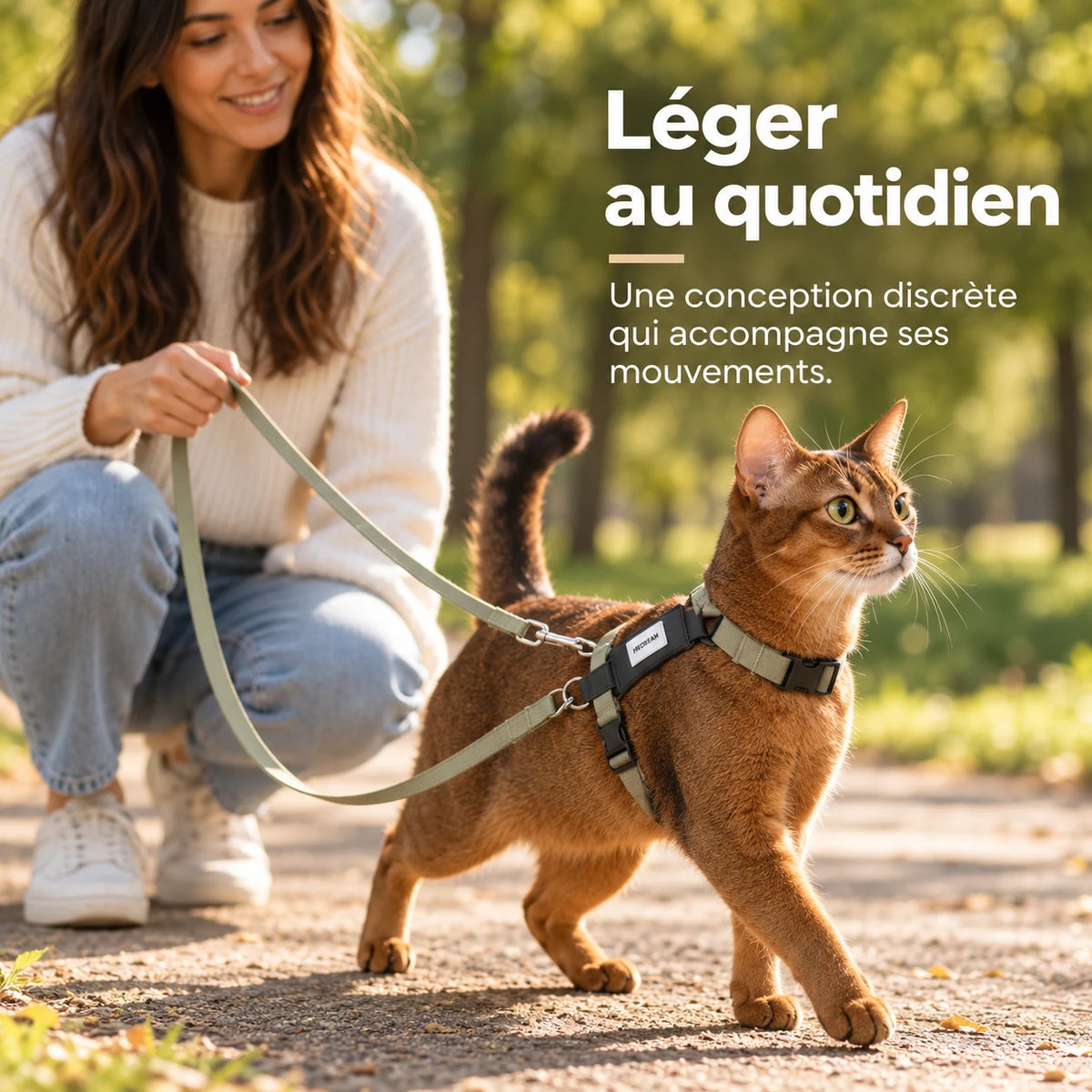 Chat roux en balade dans un parc, harnais en H kaki et laisse tenue à la main