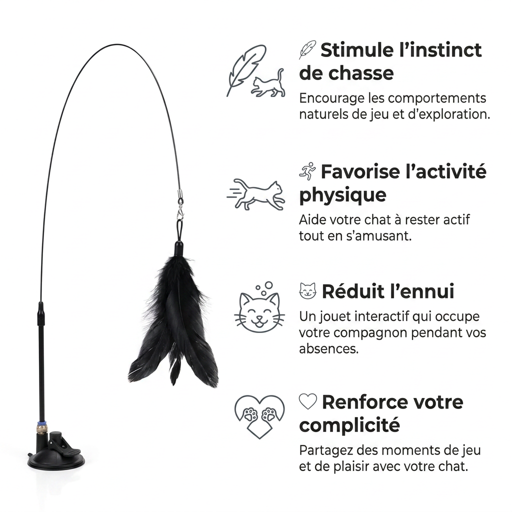 Jouet Interactif à Plume pour Chat