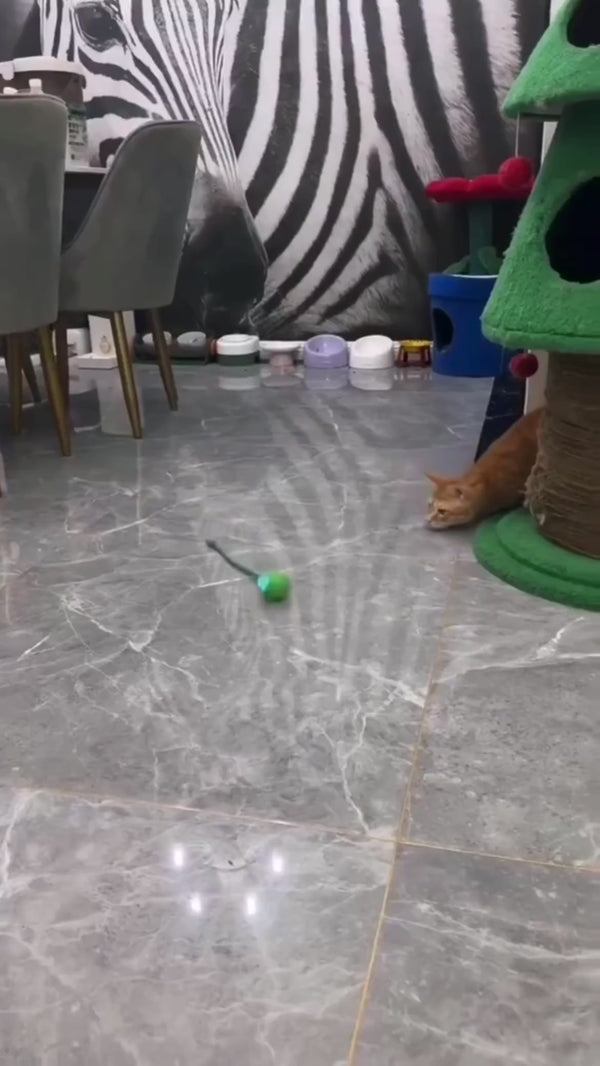 Démonstration : la balle se déplace seule sur le sol et le chat la poursuit en attrapant la corde