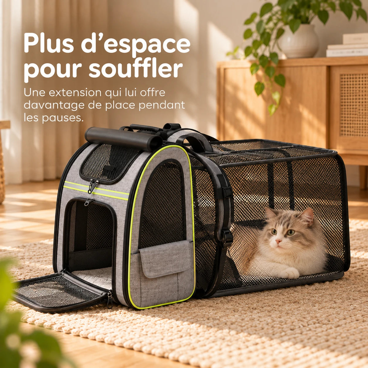 Chat allongé dans l'extension latérale du sac à dos, dépliée au sol